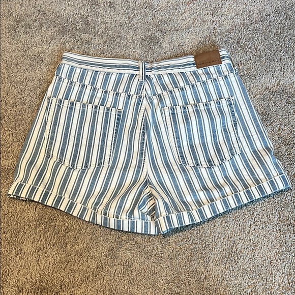 American Eagle Outfitters Blue and White Jean Shorts with Vertical Stripes - Picture 3 of 3